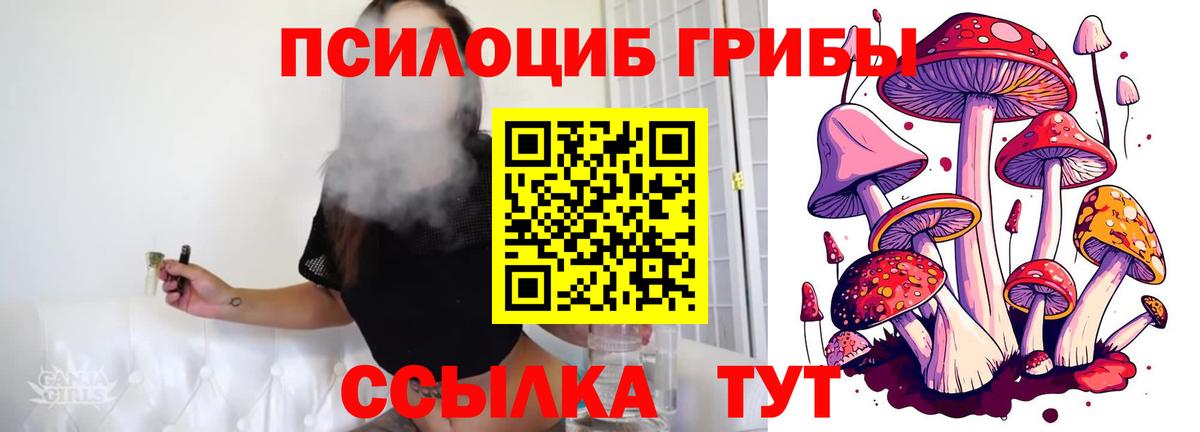 Углич  Галлюциногенные грибы мицелий  Вход с VPN 